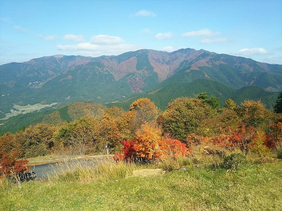 🏞️ 베르피르 자연공원(베루피루 시젠코엔) 이미지 5